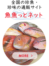 魚魚っとネット