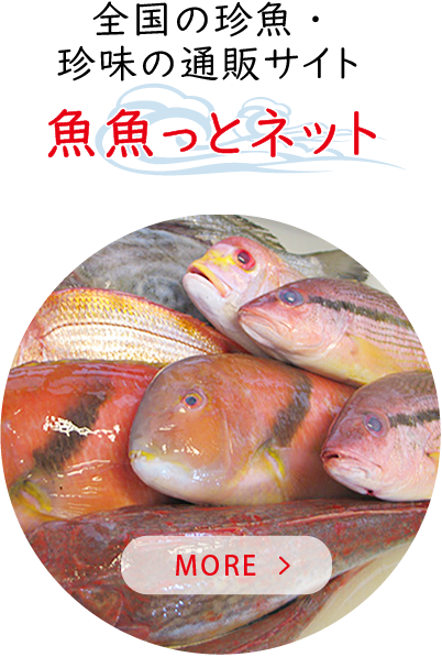 魚魚っとネット